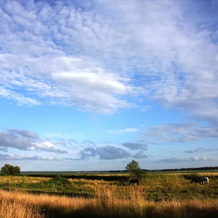 Windlooper 1 펜션 *