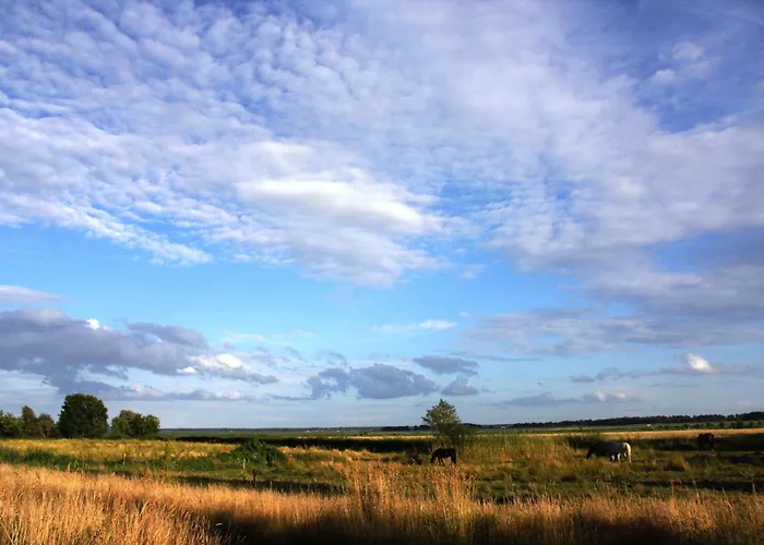 Windlooper 1 Casa de Férias *